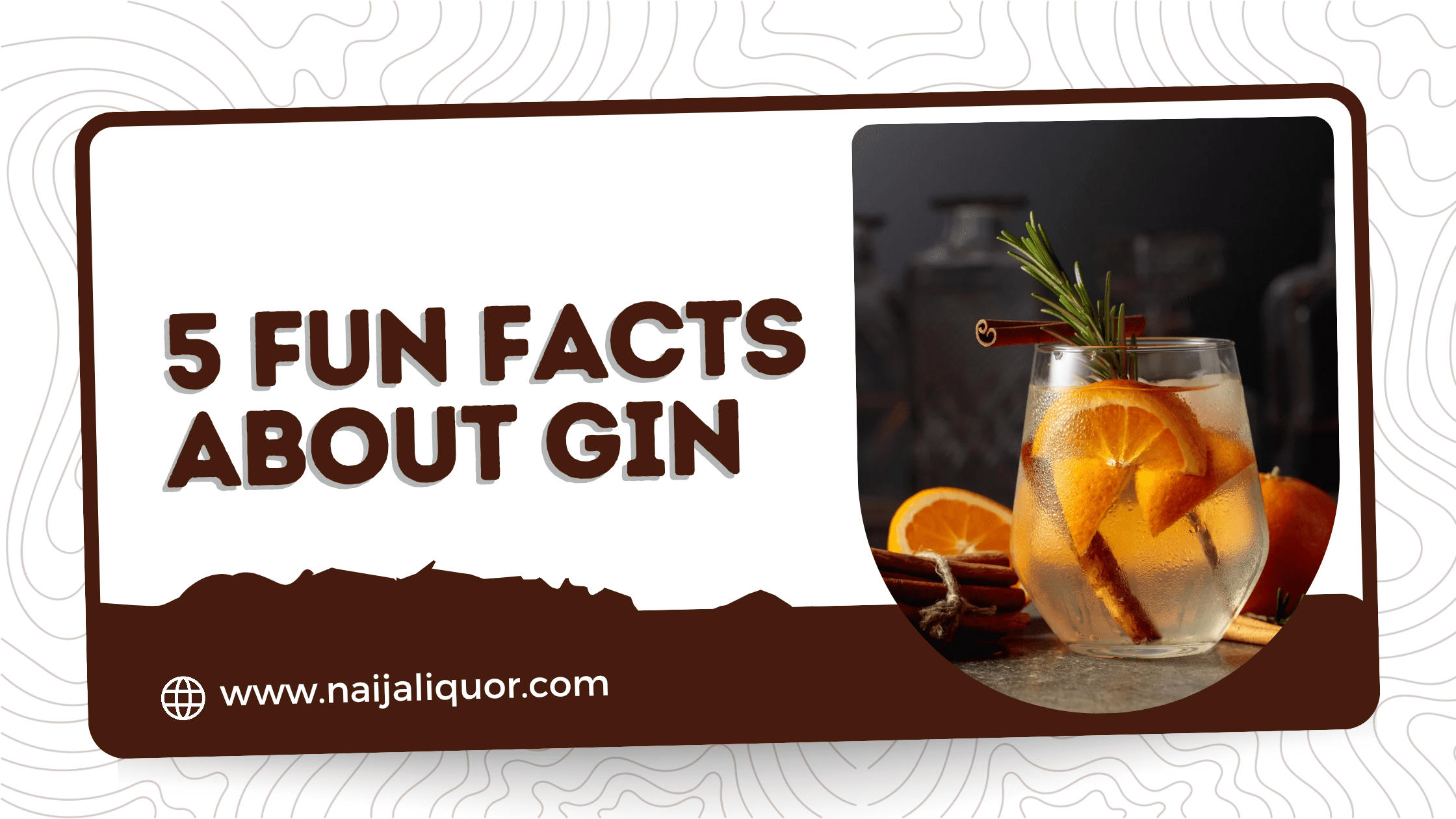 5 Fun Facts About Gin