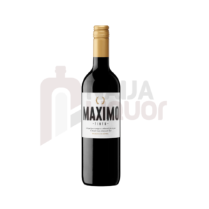 Massimo Red Wine Massimo Red Wine